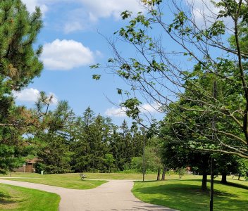 Quiet and Beautiful Campus