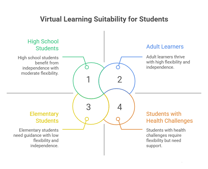 Virtual school