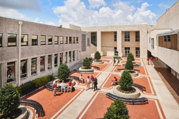 Read more about the article Private School Etobicoke