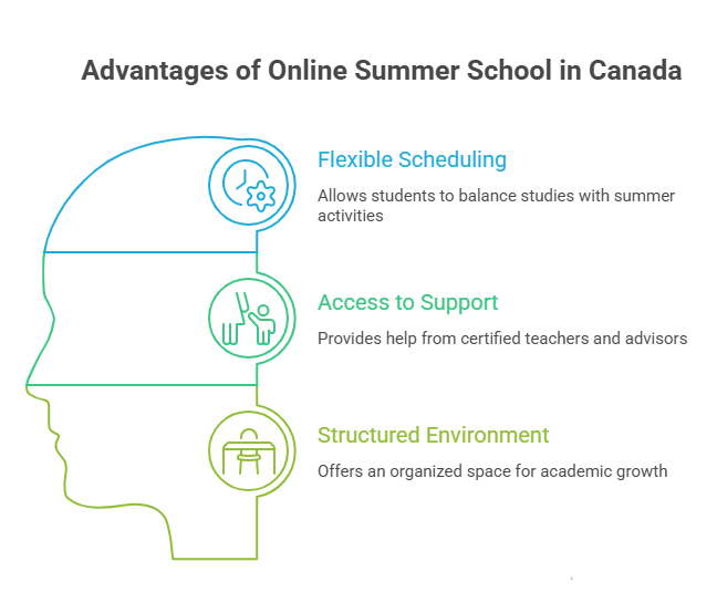 Online Summer School Canada: How It Works + Credits & Flexibility (2026) 1 online summer school canada